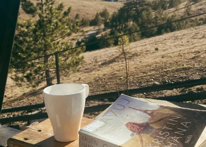 Wild Nest Wolf Lux *