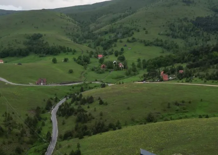 Wild Nest Wolf Lux *