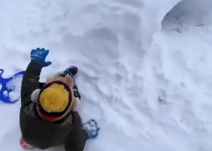 וילה Wild Nest Wolf Lux *