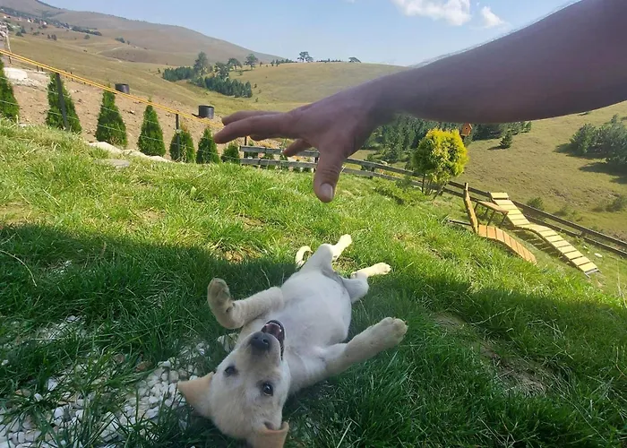 Wild Nest Wolf Lux וילה